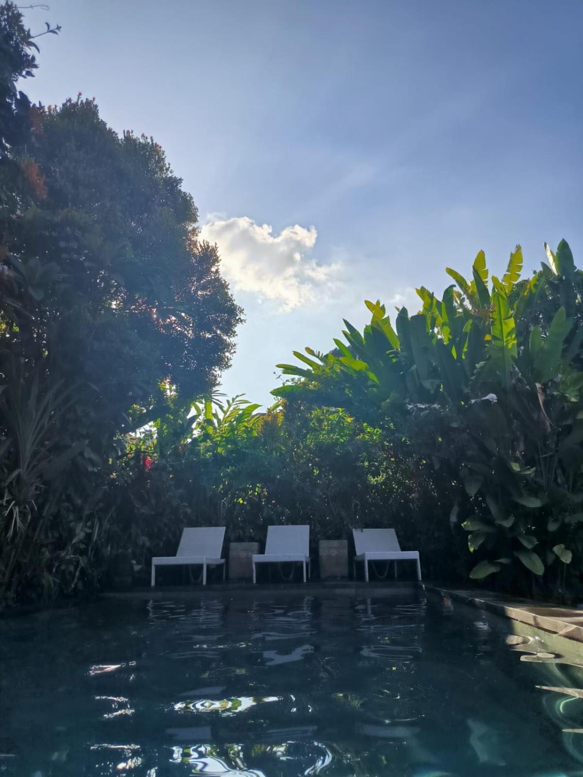 Yoga House Bali Ubud Exterior foto